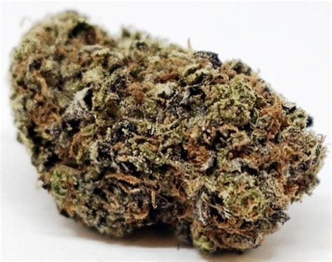 weed versace|Versace Weed Strain Information .